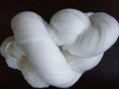 wSVa(chn)S-ˮ̎wSσr