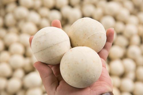 <a href='http://www.zjbaoji.com/ml/71.html' target='_blank'><u>高鋁蓄熱球生產(chǎn)廠家</u></a>