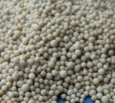 ϡɰ<a href='http://www.zjbaoji.com/jsll/' target='_blank'><u>VaS</u></a>