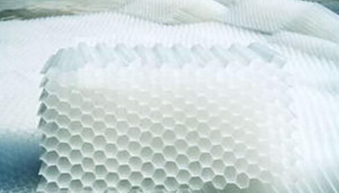 食品加工廠的污水處理<a href='http://www.zjbaoji.com/jstl/60.html' target='_blank'><u>蜂窩斜管填料生產(chǎn)廠家</u></a>